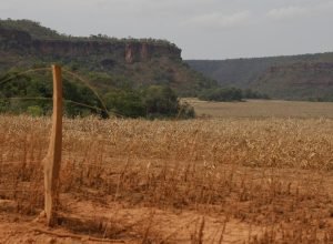 fronteira-cerrado:-desigualdade-no-acesso-ao-estado-agrava-conflitos