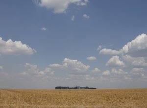 fronteira-cerrado:-desenvolvimento-e-destruicao-no-agronegocio