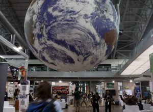 viva-maria-destaca-papel-do-ipe-na-cop-da-biodiversidade