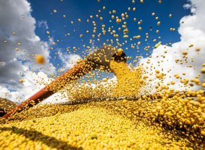 brasil-estima-colheita-de-354,8-milhoes-de-toneladas-de-graos