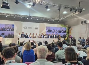 mais-de-80-paises-apoiam-proposta-do-brasil-sobre-combustiveis-fosseis