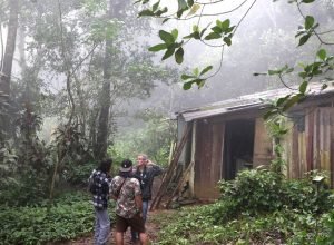 na-amazonia,-quilombos-preservam-92%-de-sua-vegetacao-nativa