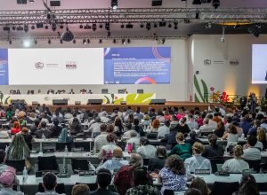 documentos-finais-da-cop30-fazem-mencao-inedita-a-afrodescendentes