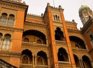 fiocruz-inicia-testes-em-humanos-para-tratar-atrofia-muscular-espinhal