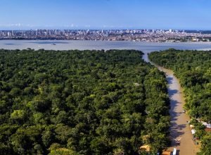 cop30-consolida-novo-patamar-do-turismo-no-brasil,-avalia-sabino