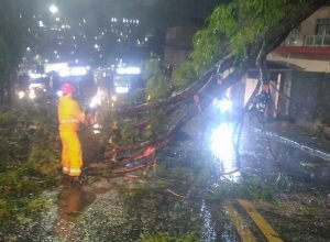 ciclone-deixa-2-milhoes-de-clientes-sem-energia-em-sao-paulo