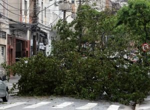 prefeitura-fecha-todos-os-parques-de-sao-paulo-por-causa-dos-ventos