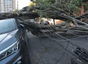 sao-paulo-e-capitais-do-sul-terao-ventos-moderados-nesta-quinta-feira