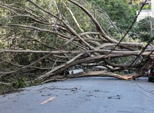 mais-de-1,3-milhao-de-imoveis-continuam-sem-energia-eletrica-em-sp
