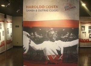 aos-95-anos,-morre-haroldo-costa,-intelectual-e-jornalista