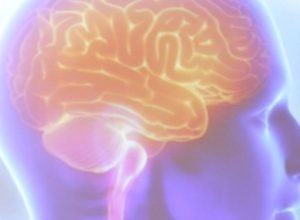 projeto-artemis-avalia-genetica-de-pacientes-que-sofreram-avc