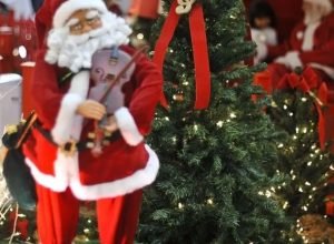 hoje-e-dia:-natal,-ecologia-e-cristina-buarque-sao-destaques