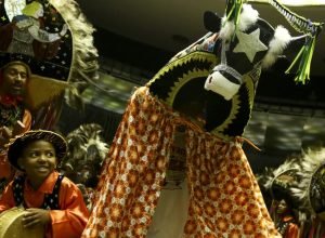 menos-de-30%-dos-agentes-culturais-conseguem-sobreviver-da-atividade