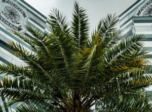 pf-adia-depoimentos-de-tres-investigados-no-inquerito-do-banco-master