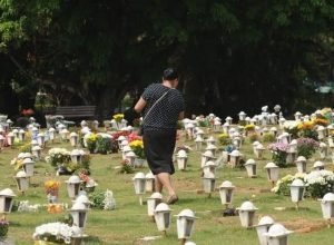 caes-e-gatos-podem-ser-sepultados-em-jazigos-familiares-em-sao-paulo
