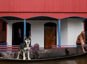 cheia-de-rios-amazonicos-deixa-35-cidades-em-alerta-e-emergencia