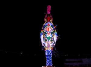 dom-da-paz:-galo-gigante,-no-recife,-homenageia-dom-helder-camara