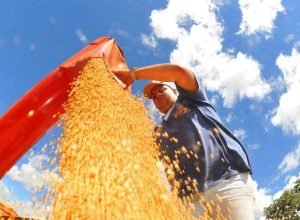 producao-de-graos-pode-chegar-a-353,4-milhoes-de-toneladas