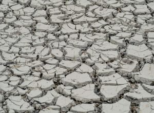 estiagem:-quinze-cidades-tem-situacao-de-emergencia-decretada
