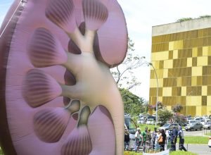 dia-mundial-do-rim:-doencas-renais-sao-silenciosas-e-exigem-atencao