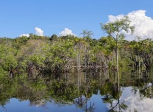 governo-levantou-r$-179-bi-desde-2023-para-transicao-ecologica