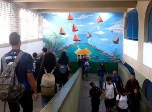 ibge-alerta-para-quadro-preocupante-na-saude-mental-de-adolescentes