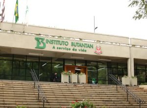 butantan-produzira-remedio-contra-cancer-para-o-sus