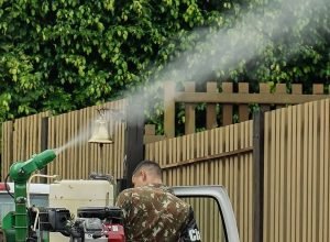 mato-grosso-do-sul-vai-receber-vacina-em-projeto-contra-chikungunya