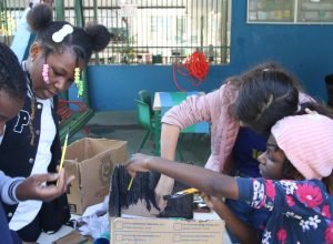 evocar-raizes-culturais-dos-alunos-transforma-a-aula,-diz-pesquisador