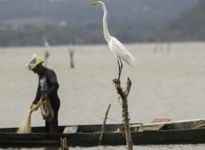 mudancas-aprovadas-para-o-seguro-defeso-previnem-fraudes,-diz-relator