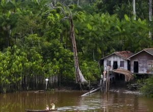 projeto-leva-tratamento-gratuito-a-doencas-negligenciadas-no-amazonas