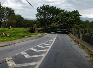 ventos-fortes-matam-tres-pessoas-em-sao-paulo