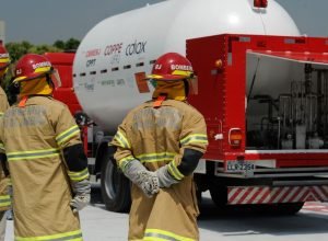 bombeiros-do-rio-ja-fizeram-18-mil-salvamentos-de-animais-em-2026