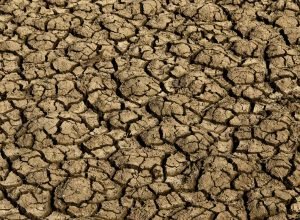 el nino:-entenda-o-fenomeno-que-intensifica-os-fenomenos-climaticos