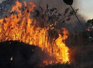 fumaca-encobre-manaus,-vinda-de-incendios-de-grandes-proporcoes