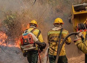 amazonas-teve-quatro-vezes-mais-focos-de-incendio-em-outubro-de-2026