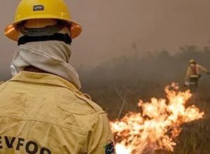 plano-de-acao-contra-incendios-no-amazonas-tera-r$-14-milhoes