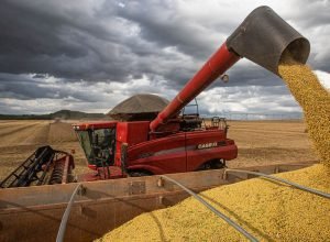 apos-primeiras-colheitas,-conab-confirma-estimativa-de-safra-recorde