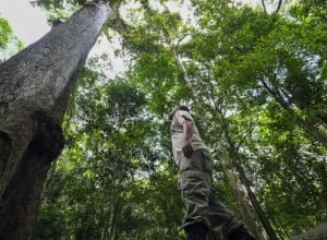 rio-de-janeiro-sediara-premio-ambiental-criado-pelo-principe-william