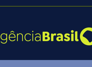 usp-desenvolve-processo-simples-de-identificar-agrotoxico-nas-abelhas