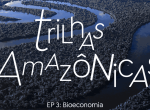 trilhas-amazonicas:-bioeconomia-une-desenvolvimento-e-sustentabilidade