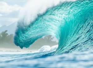 pipeline-volta-a-sediar-a-etapa-final-do-circuito-mundial-de-surfe