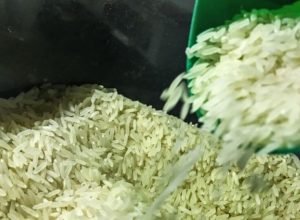 governo-anula-leilao-para-compra-de-arroz-importado-apos-suspeita-de-irregularidades