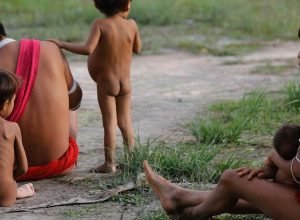 numero-de-obitos-no-territorio-yanomami-teve-reducao-de-21%-em-2024
