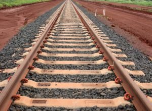 governo-quer-leiloar-ferrovia-ef-118-ainda-neste-ano,-diz-ministro