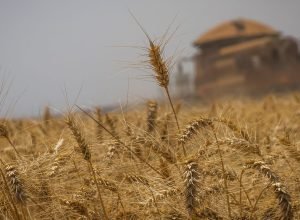 conab-prorroga-inscricoes-para-concurso-ate-20-de-maio