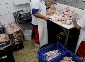 prazo-de-28-dias-para-brasil-ficar-livre-da-gripe-aviaria-comeca-hoje