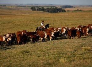 pib-cresce-1,4%-no-1o-trimestre-em-relacao-ao-4o-trimestre-de-2024