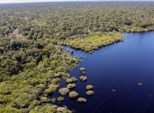 viva-maria-destaca-experiencia-em-360-graus-no-coracao-da-amazonia