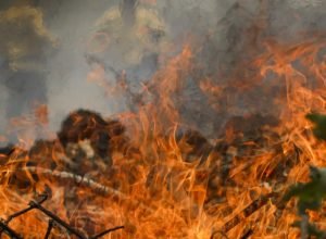 tocantins-registra-mais-de-mil-focos-de-queimadas-em-maio